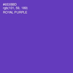 #653BBD - Royal Purple Color Image