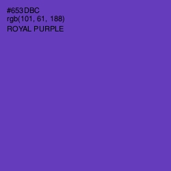 #653DBC - Royal Purple Color Image