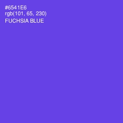 #6541E6 - Fuchsia Blue Color Image
