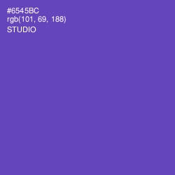 #6545BC - Studio Color Image