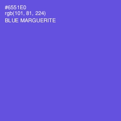 #6551E0 - Blue Marguerite Color Image