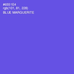 #6551E4 - Blue Marguerite Color Image