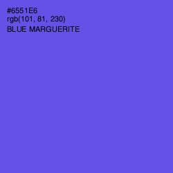 #6551E6 - Blue Marguerite Color Image