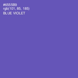 #6555B9 - Blue Violet Color Image