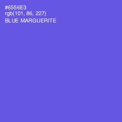 #6556E3 - Blue Marguerite Color Image