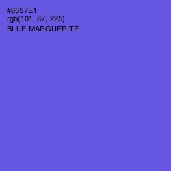 #6557E1 - Blue Marguerite Color Image