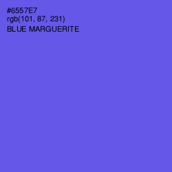 #6557E7 - Blue Marguerite Color Image