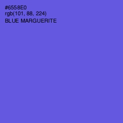 #6558E0 - Blue Marguerite Color Image