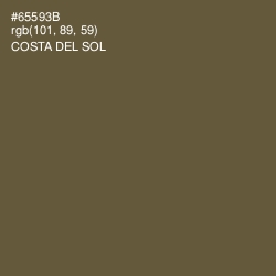 #65593B - Costa Del Sol Color Image