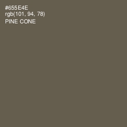 #655E4E - Pine Cone Color Image