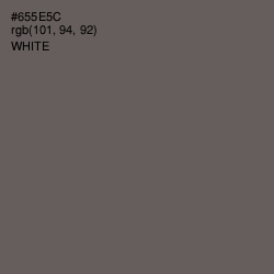 #655E5C - Zambezi Color Image