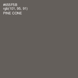 #655F5B - Pine Cone Color Image