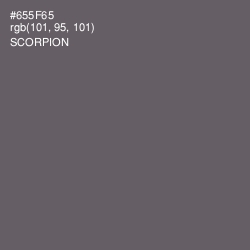 #655F65 - Scorpion Color Image