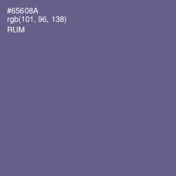 #65608A - Rum Color Image