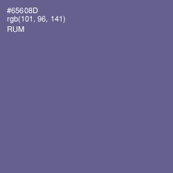 #65608D - Rum Color Image
