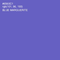 #6560C1 - Blue Marguerite Color Image