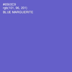 #6560C9 - Blue Marguerite Color Image