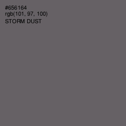 #656164 - Storm Dust Color Image