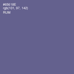 #65618E - Rum Color Image