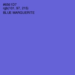 #6561D7 - Blue Marguerite Color Image