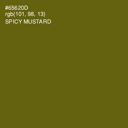 #65620D - Spicy Mustard Color Image