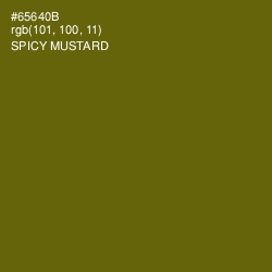 #65640B - Spicy Mustard Color Image