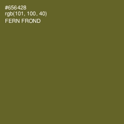 #656428 - Fern Frond Color Image