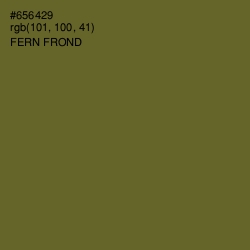 #656429 - Fern Frond Color Image