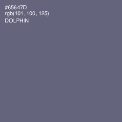 #65647D - Dolphin Color Image
