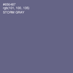 #656487 - Storm Gray Color Image