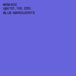 #6564DC - Blue Marguerite Color Image