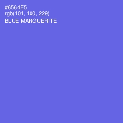 #6564E5 - Blue Marguerite Color Image