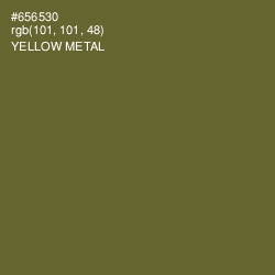 #656530 - Yellow Metal Color Image