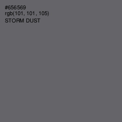 #656569 - Storm Dust Color Image