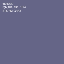 #656587 - Storm Gray Color Image