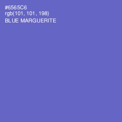 #6565C6 - Blue Marguerite Color Image