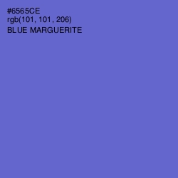 #6565CE - Blue Marguerite Color Image