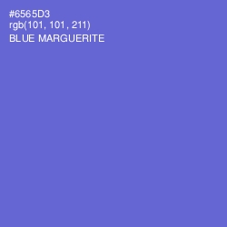 #6565D3 - Blue Marguerite Color Image