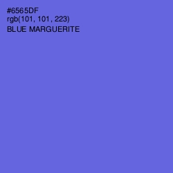 #6565DF - Blue Marguerite Color Image