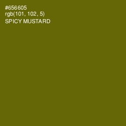 #656605 - Spicy Mustard Color Image