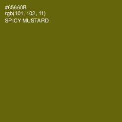 #65660B - Spicy Mustard Color Image