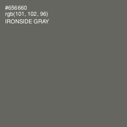 #656660 - Ironside Gray Color Image