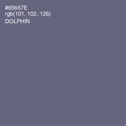 #65667E - Dolphin Color Image