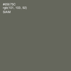 #65675C - Siam Color Image