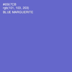 #6567CB - Blue Marguerite Color Image