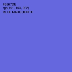 #6567DE - Blue Marguerite Color Image