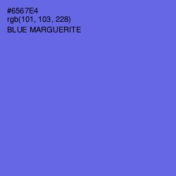 #6567E4 - Blue Marguerite Color Image