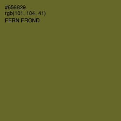 #656829 - Fern Frond Color Image