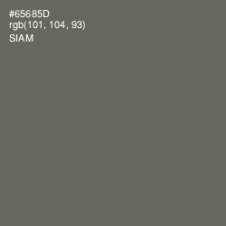 #65685D - Siam Color Image