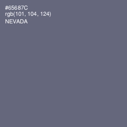 #65687C - Nevada Color Image